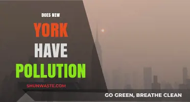 The Big Apple's Pollution Problem: A Closer Look