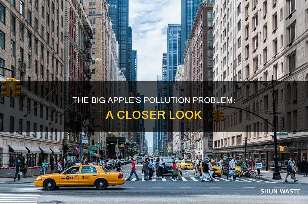 does new york have pollution