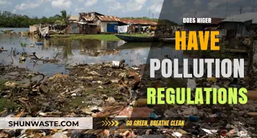 Niger's Pollution Regulations: What's the Status?
