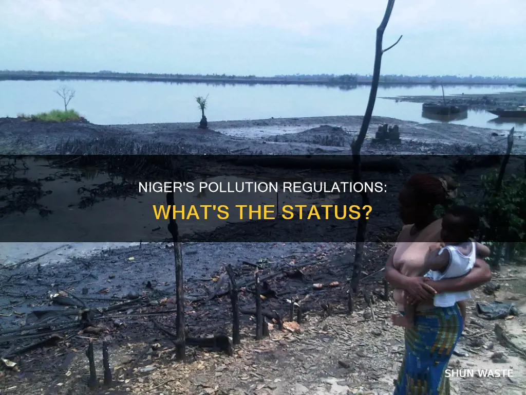 does niger have pollution regulations