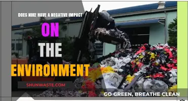 Nike's Environmental Footprint: Sustainable Practices or Harmful Impact?