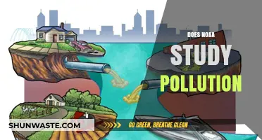 NOAA's Role in Pollution: Studying Our Environment