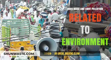 Light and Noise Pollution: Environmental Impact and Health Risks