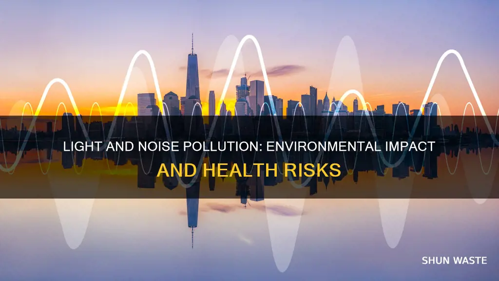 does noise and light pollution related to environment