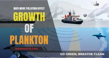 How Noise Pollution Impacts Plankton Growth and Health