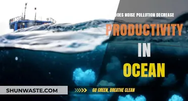 Ocean Noise Pollution: Impact on Productivity and Marine Life