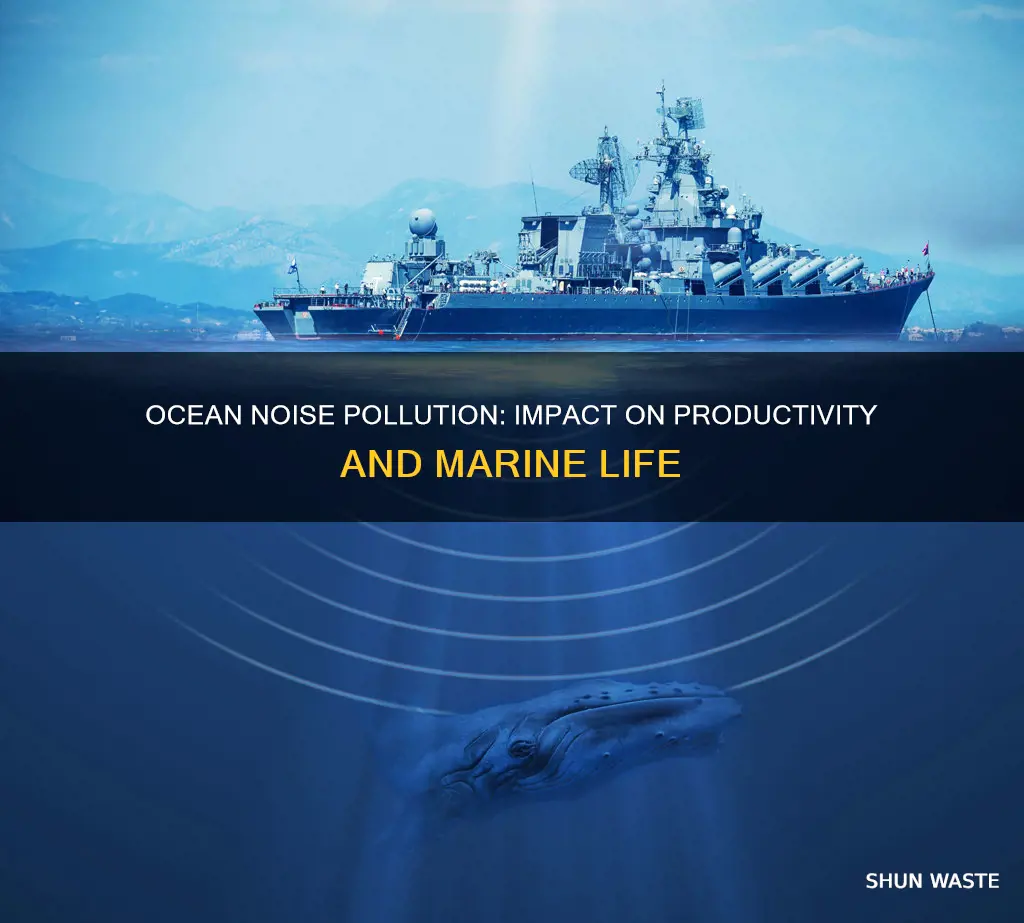 does noise pollution decrease productivity in ocean