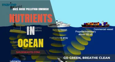 Ocean Noise: Impacting Marine Life and Nutrient Cycles