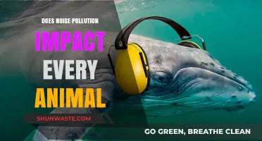 How Noise Pollution Affects Animals' Lives