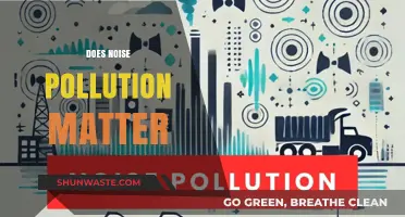 Noise Pollution: A Health Hazard or Just Nuisance?