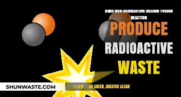 Non-Radioactive Helium Fusion: Clean Energy or Hidden Waste?