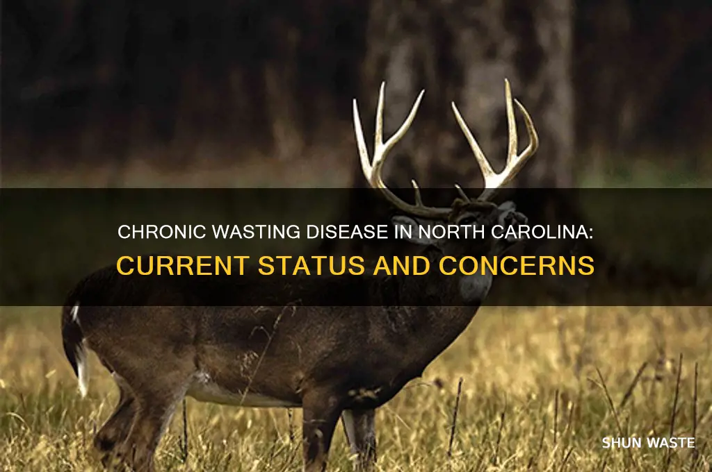 does north carolina have chronic wasting disease