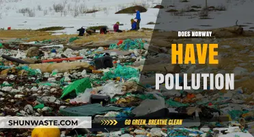 Norway's Pollution: A Country's Battle Against Environmental Threats