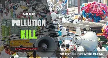 Noise Pollution: A Silent Killer?