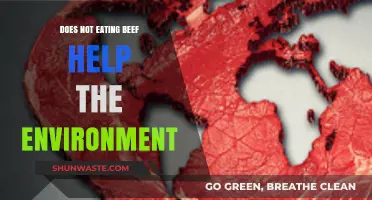 Skipping Beef: A Simple Step to Save Our Planet?