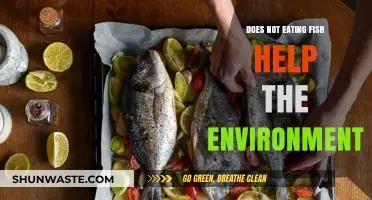 Skipping Fish: How Your Diet Choices Impact the Environment