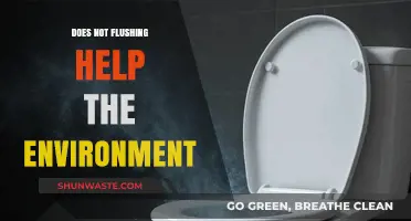 Does Not Flushing Save Water? Environmental Impact of Toilet Habits
