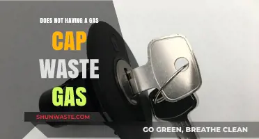 Does Missing Gas Cap Waste Fuel? Facts and Myths Explained