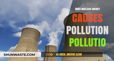 Nuclear Energy: Clean Power or Hidden Pollution?