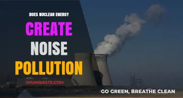 Nuclear Energy: Silent Power or Noisy Threat?