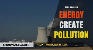 Nuclear Energy: Pollution or Progress?