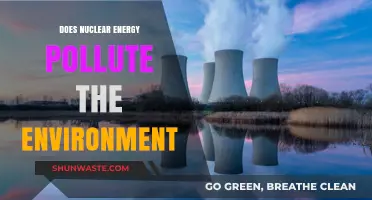 The Clean Energy Conundrum: Nuclear Power's Environmental Impact