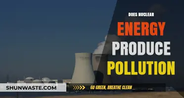 Nuclear Energy: Pollution or Progress?