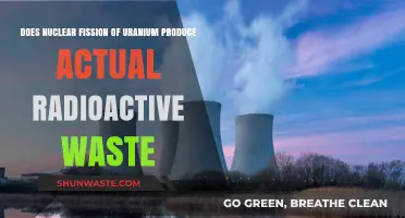 Uranium Fission: Unveiling the Truth About Radioactive Waste Production