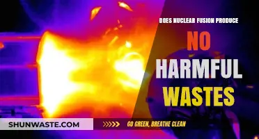 Nuclear Fusion: Clean Energy Without Harmful Waste?