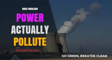 Nuclear Power: Pollution Paradox?
