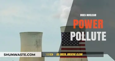 Nuclear Power: Pollution or Promise?