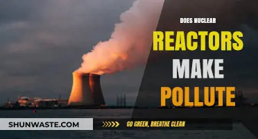 Nuclear Power: Clean Energy or Polluting Hazard?
