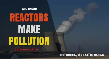 Nuclear Power Plants: Pollution or Progress?