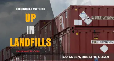 Nuclear Waste Disposal: Landfills or Specialized Facilities?