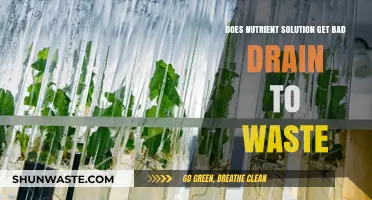 Does Nutrient Solution Spoil in Drain-to-Waste Hydroponic Systems?