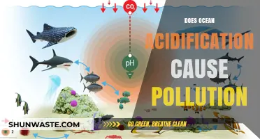 Ocean Acidification: A Hidden Pollutant's Impact on Marine Life