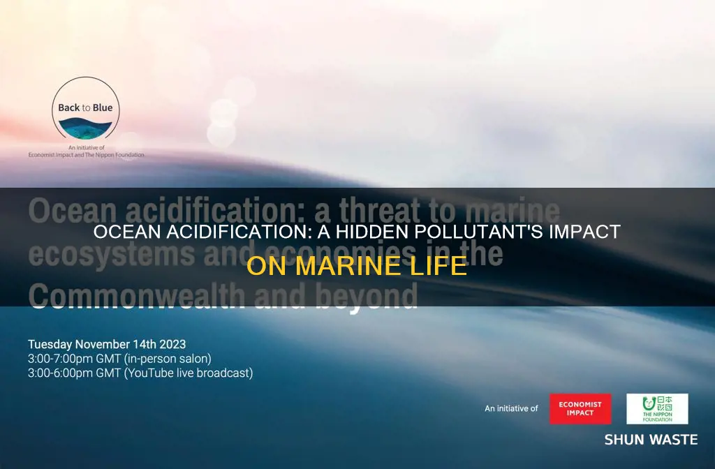 does ocean acidification cause pollution