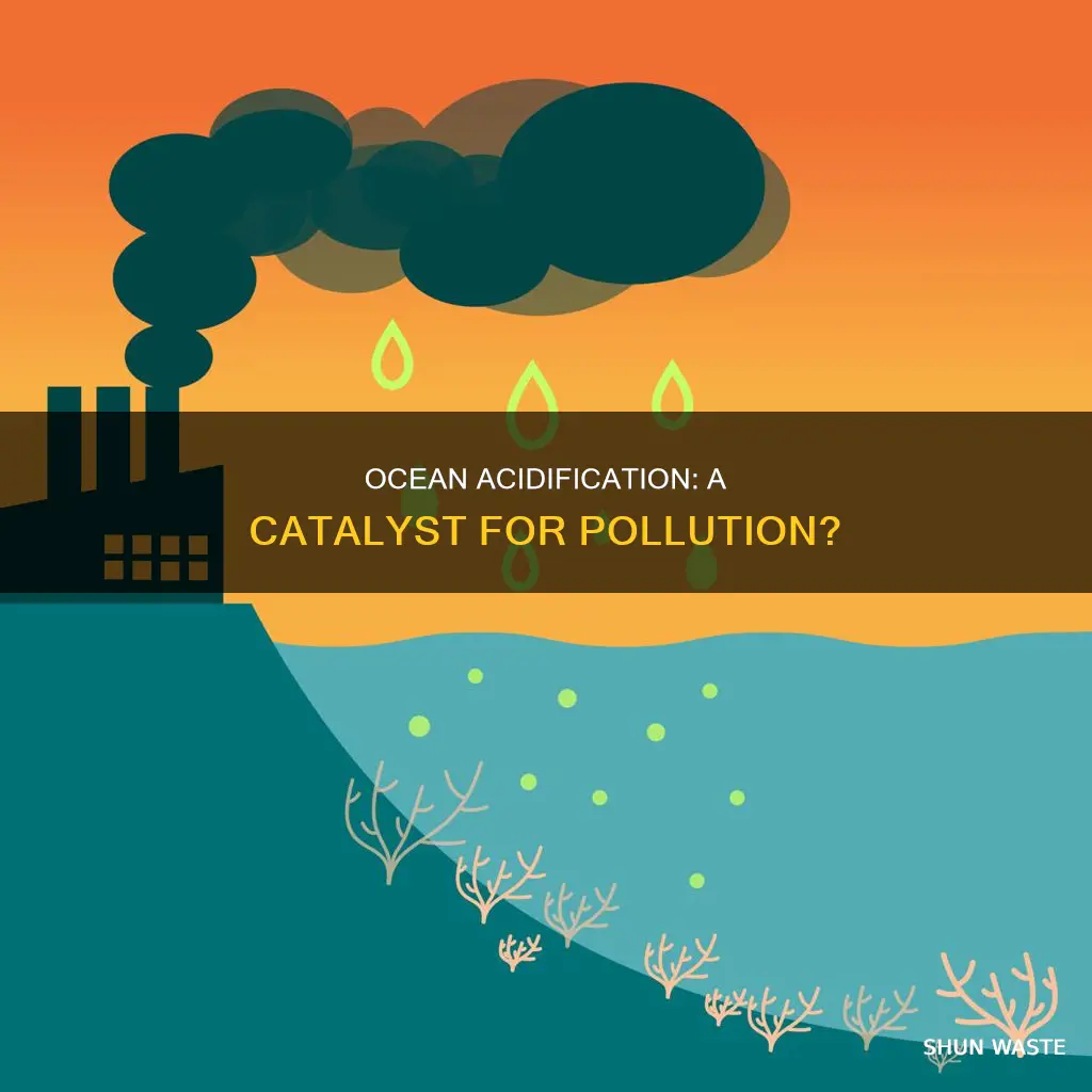 does ocean acidification cause pollution