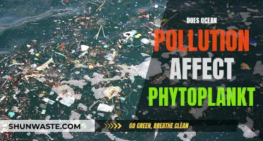 Ocean Pollution's Impact on Phytoplankton: A Complex Relationship