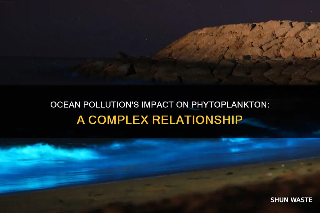 does ocean pollution affect phytoplankton