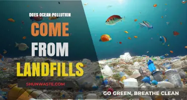 Ocean Pollution: Landfills' Impact and the Solution