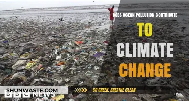 Ocean Pollution: A Climate Change Catalyst?