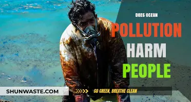 Ocean Pollution: Harming People and the Planet