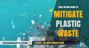 Oceana's Role in Combating Plastic Waste: Effective Strategies and Impact