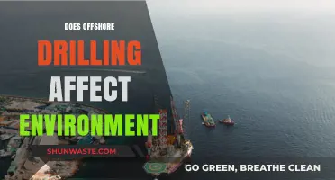 Offshore Drilling's Environmental Impact: Risks, Consequences, and Sustainability Concerns