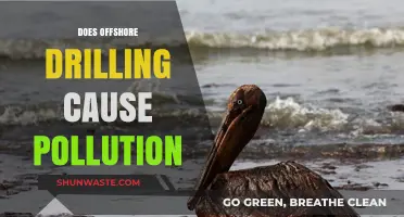 Offshore Drilling's Environmental Impact: A Deep Dive into Pollution