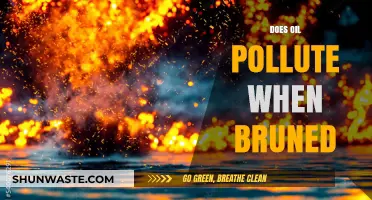 How Oil Pollution Affects Us When Burned