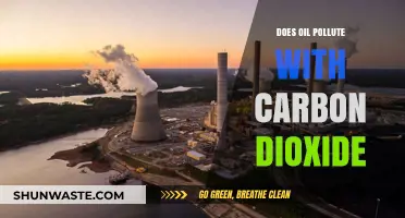 Oil's Carbon Footprint: A Polluting Problem?