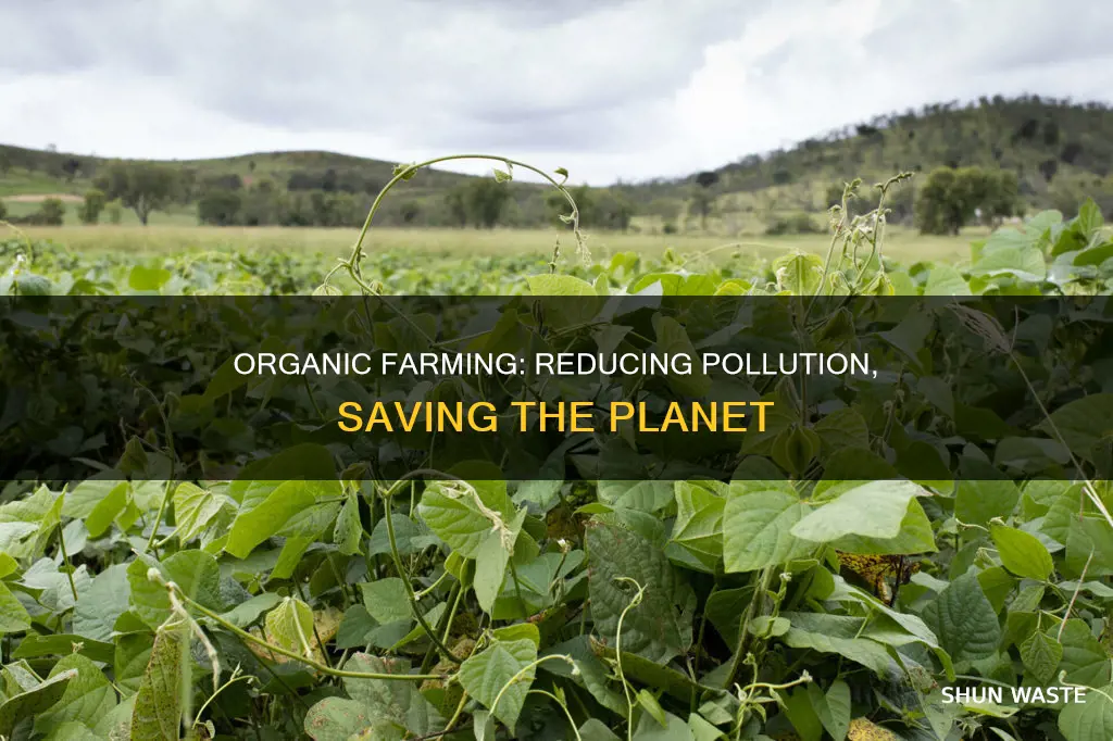 does organic reduce pollution