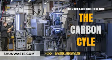 Waste's Role in the Carbon Cycle: Uncovering Hidden Connections